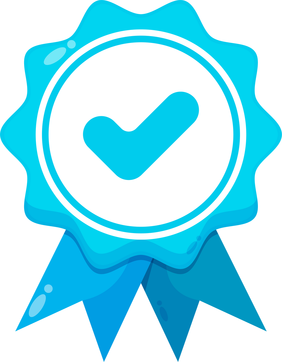 Blue check medal icon